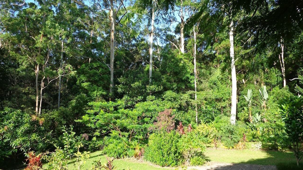 Photo of Outdoor in Tinbeerwah