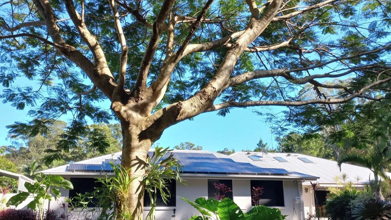 Photo of Outdoor in Tinbeerwah