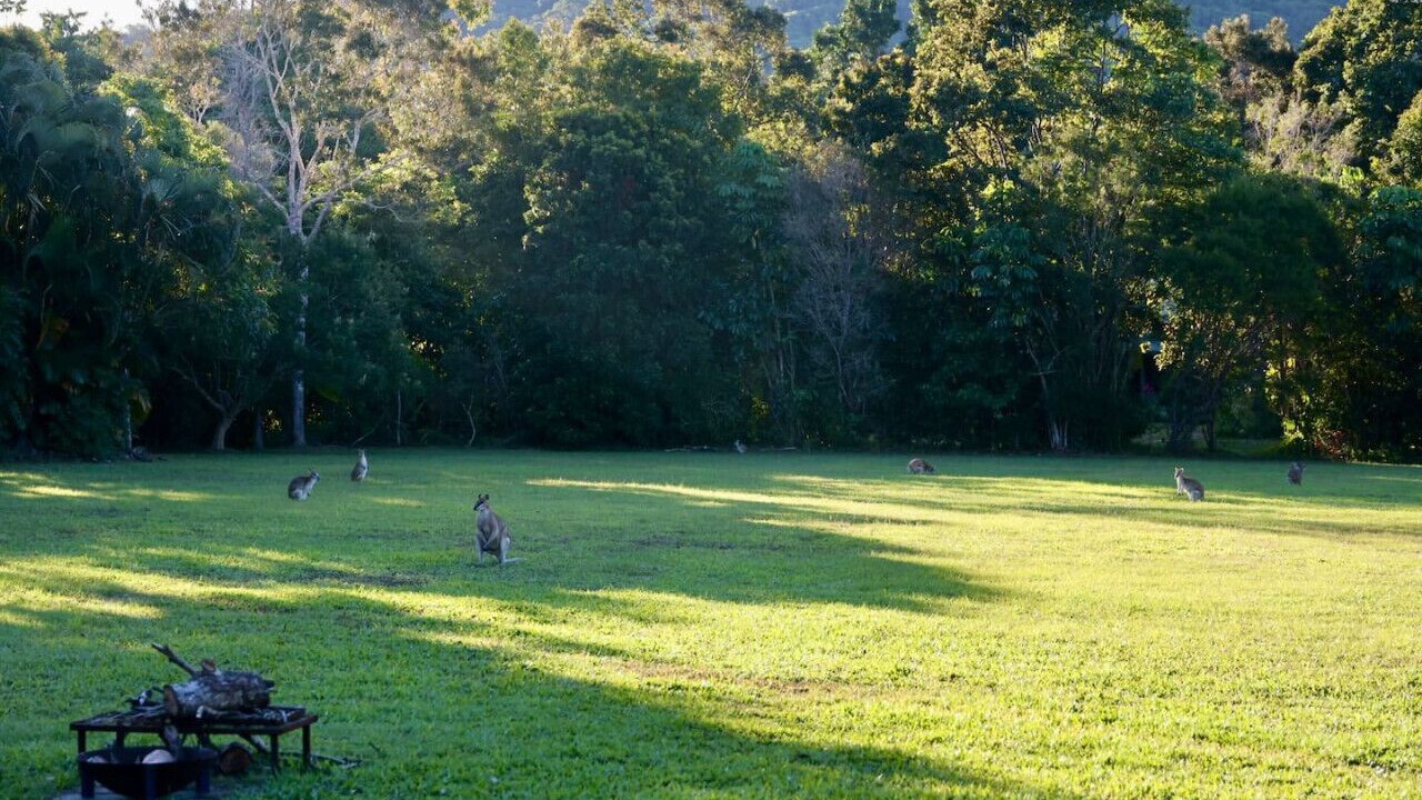 Photo of Others in Kuranda