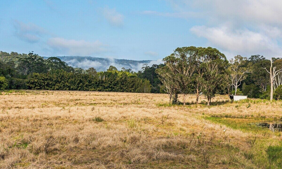 Photo of Outdoor in Belli Park