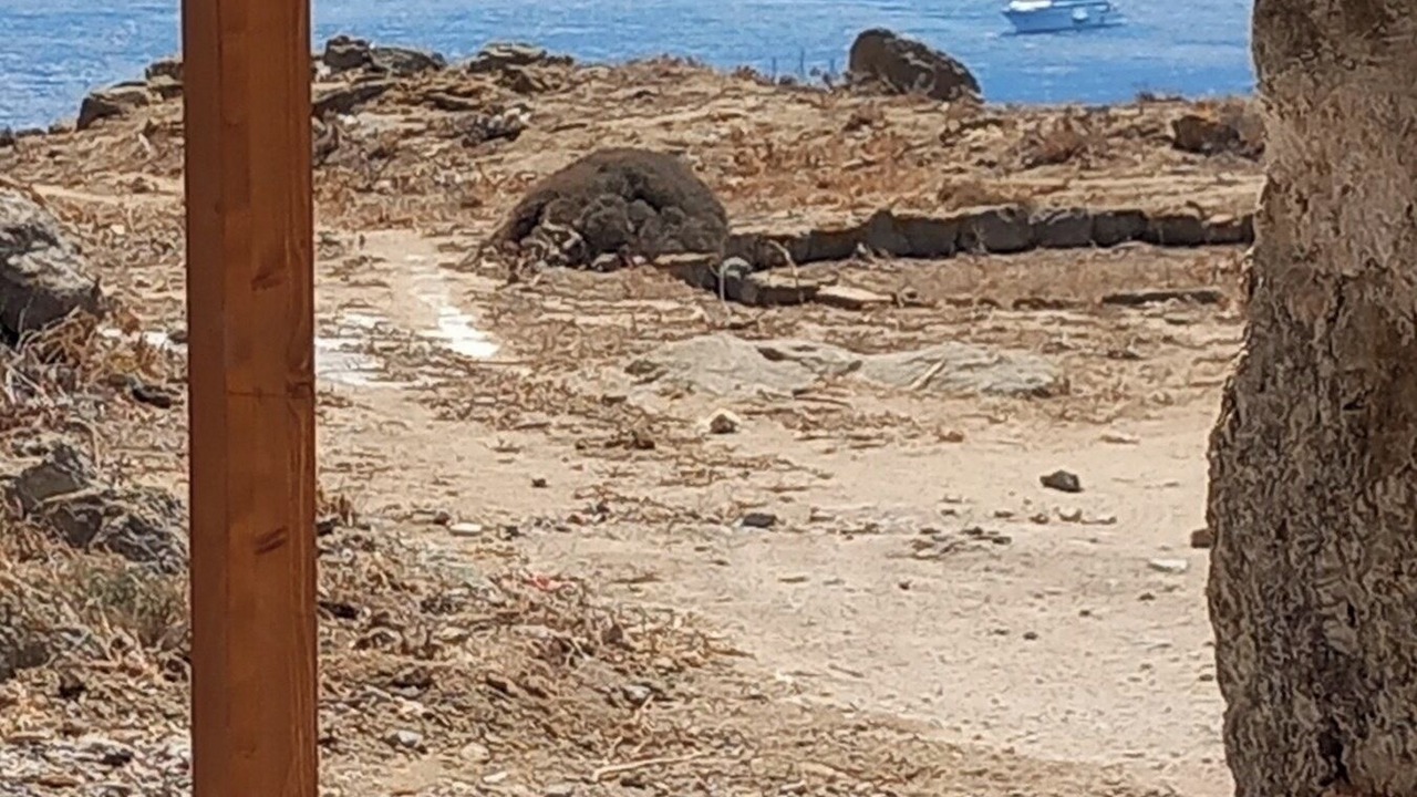Photo of Others in Platis Gialos