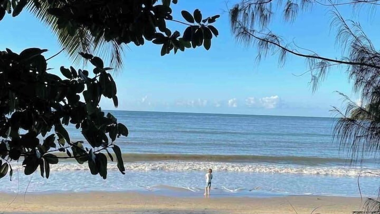 Photo of Others in Kewarra Beach
