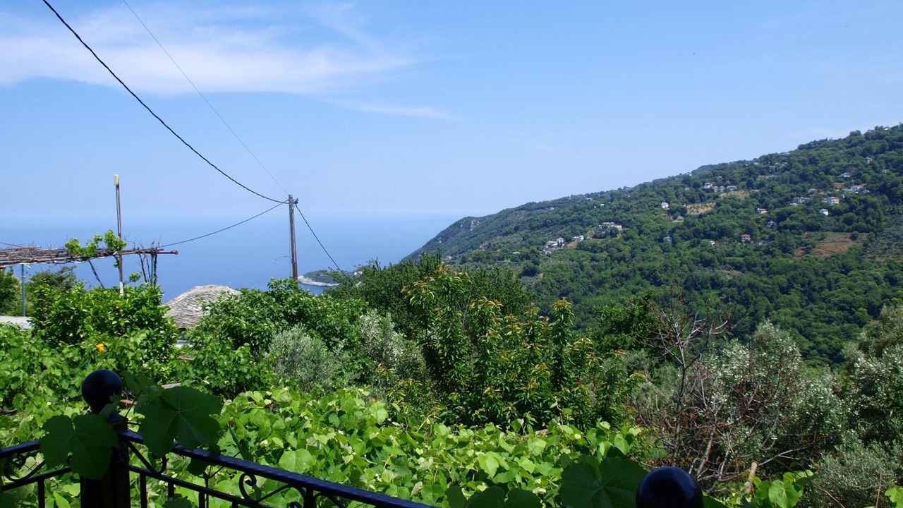 Photo of Others in Agios Dimitrios