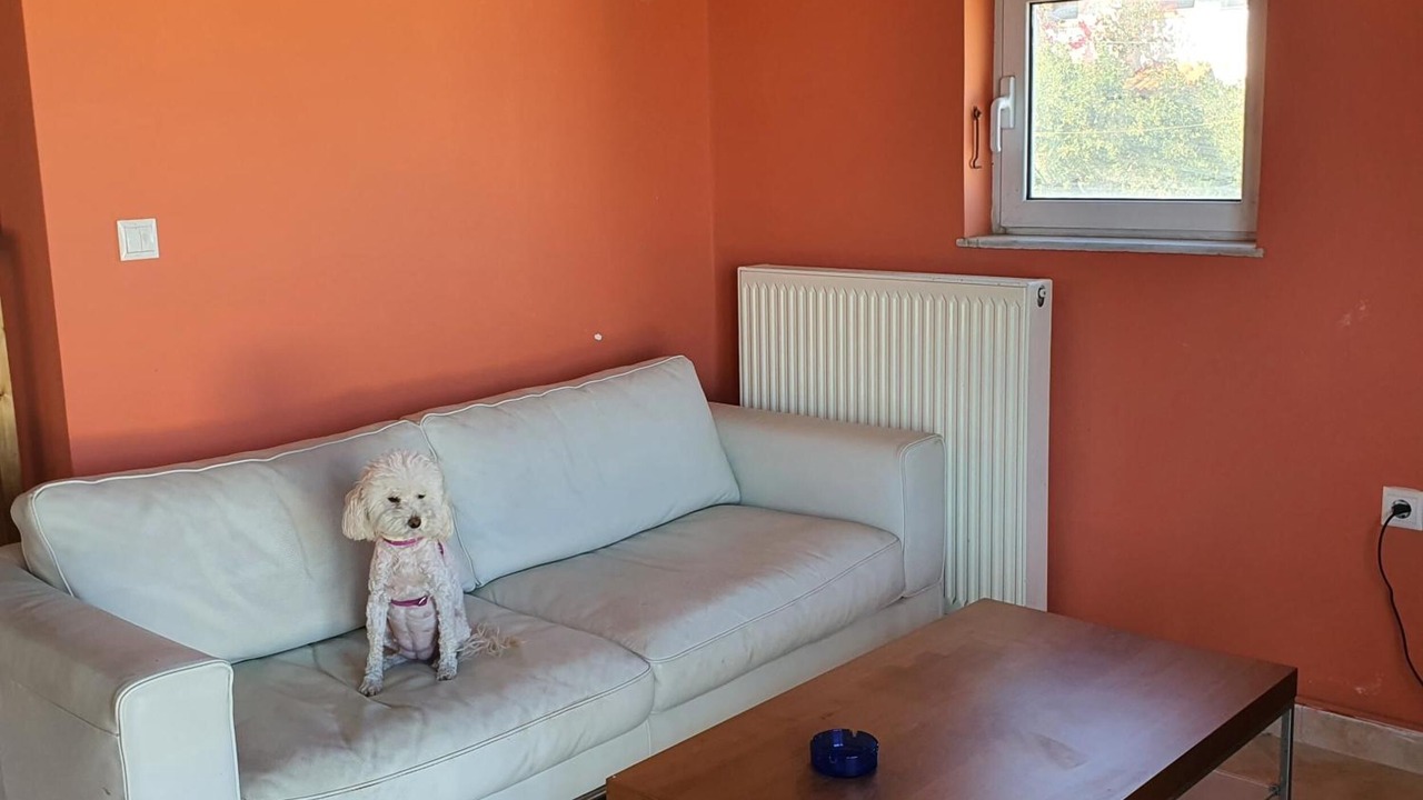 Photo of Livingroom in Souvala
