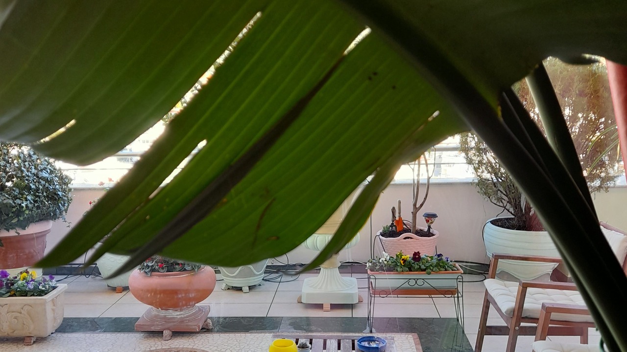 Photo of Outdoor in Lamia
