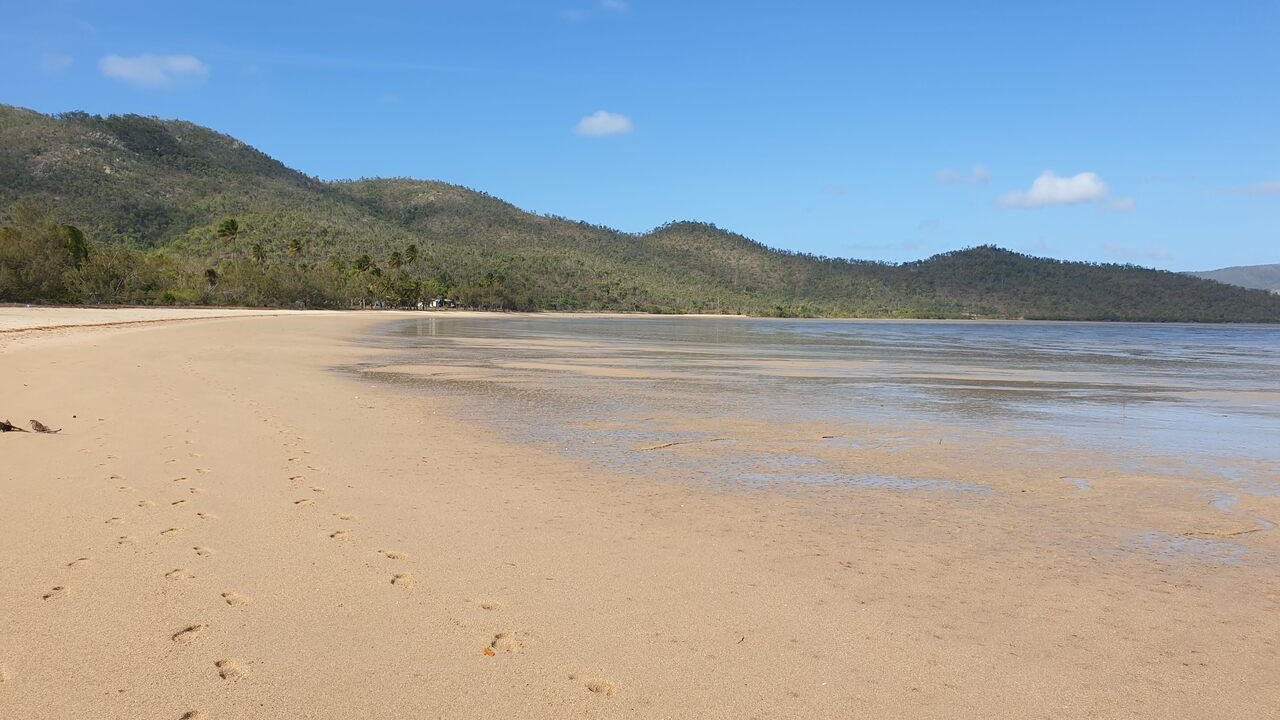 Photo of Others in Cape Gloucester