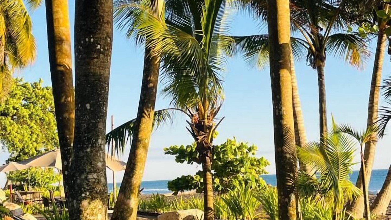 Photo of Outdoor in Playa Hermosa