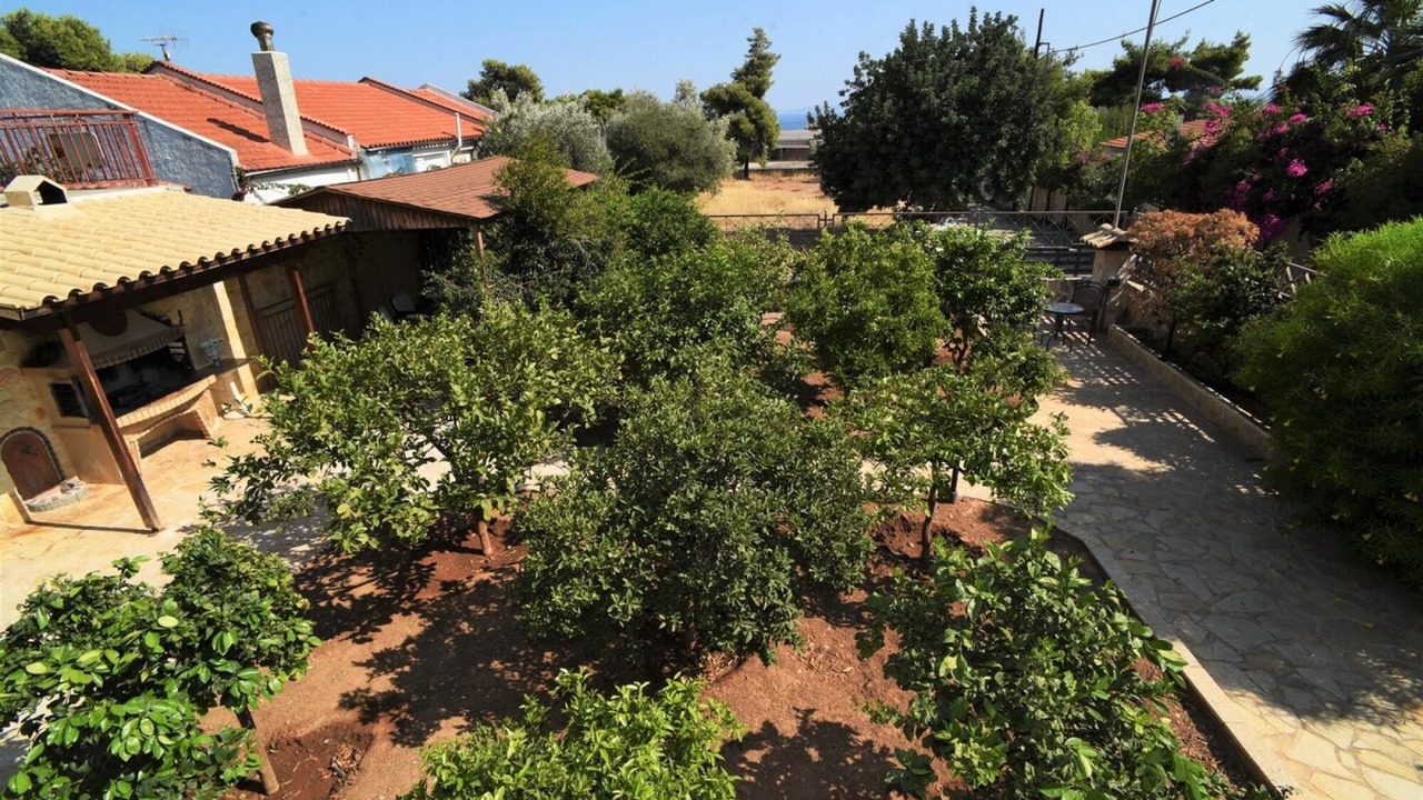 Photo of Outdoor in Kineta