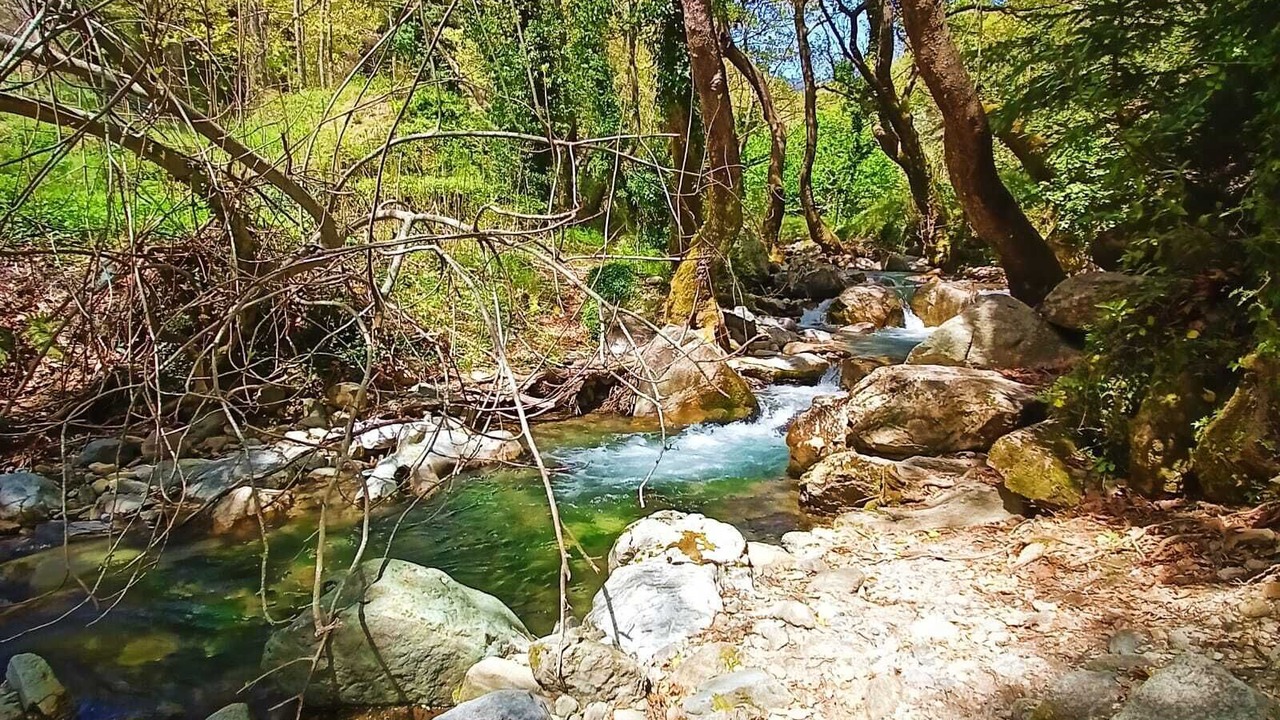 Photo of Outdoor in Eretria