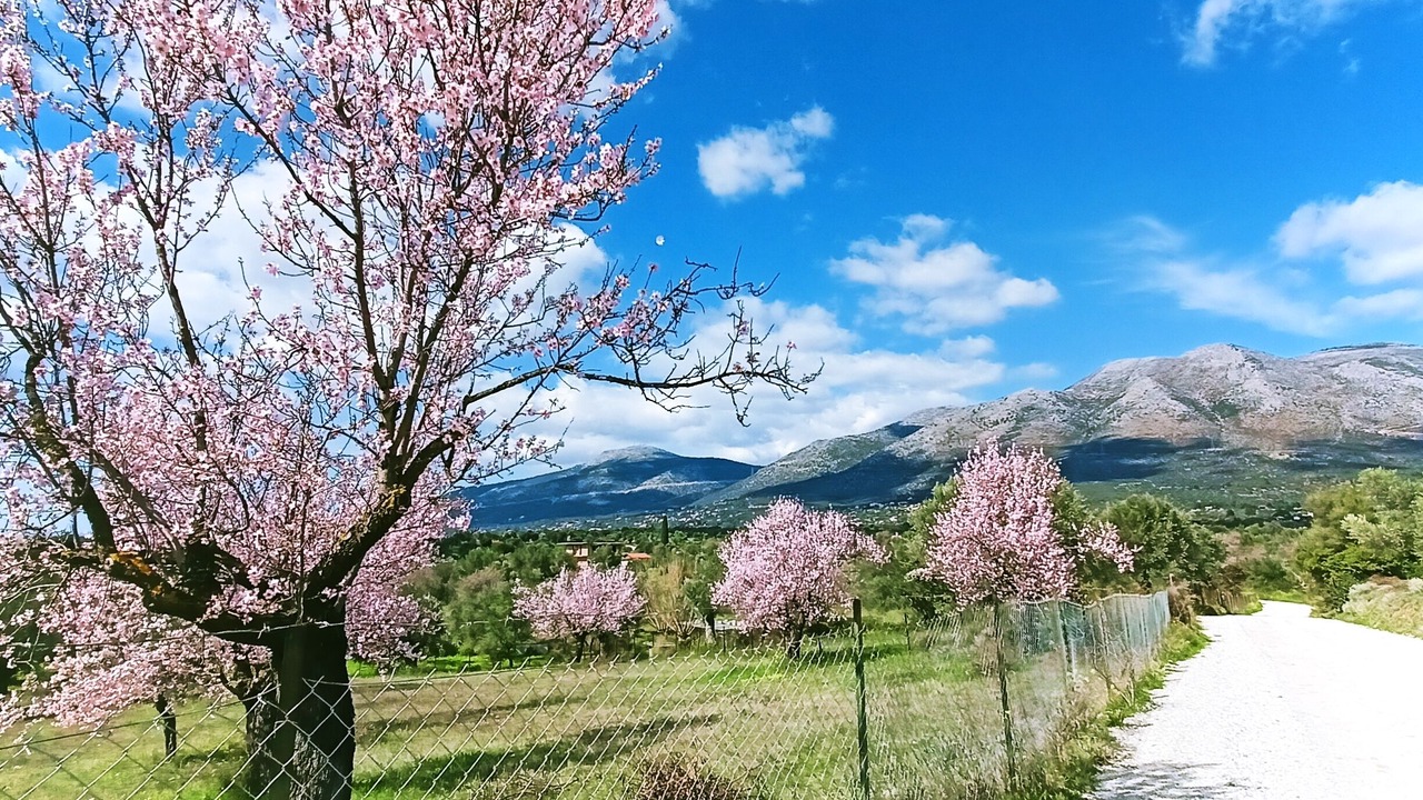 Photo of Outdoor in Eretria