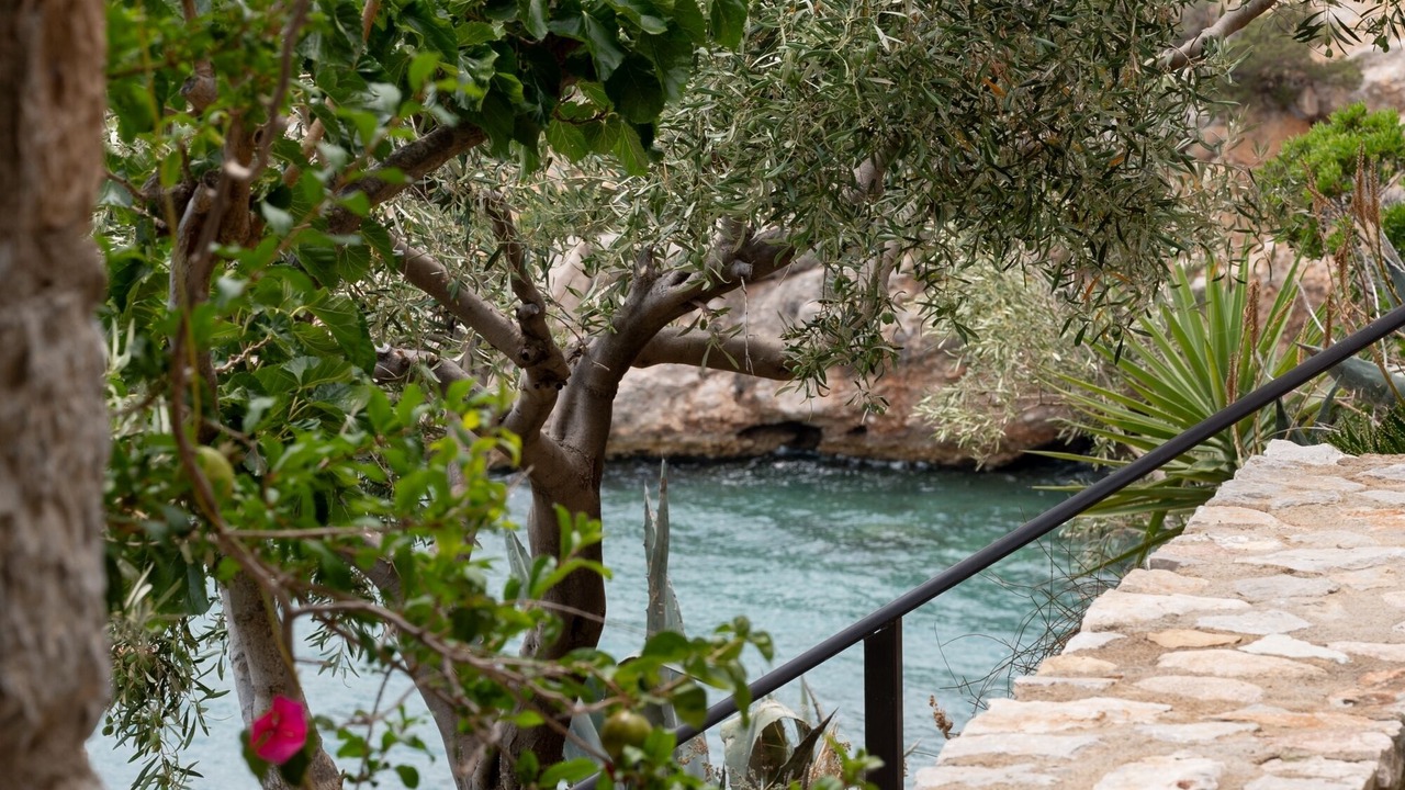 Photo of Others in Phthiotis Region