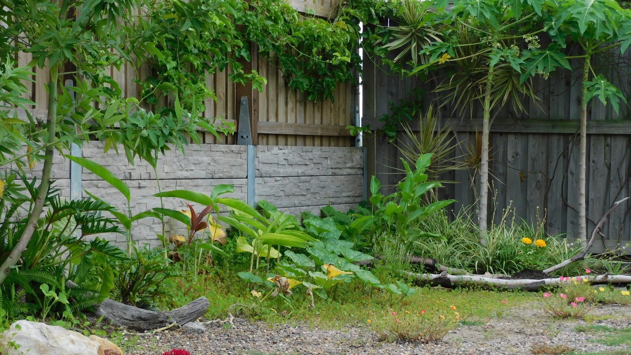 Photo of Outdoor in Yandina