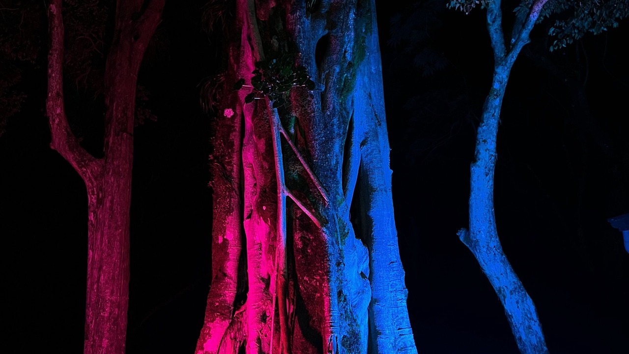 Photo of Outdoor in Poas Volcano National Park
