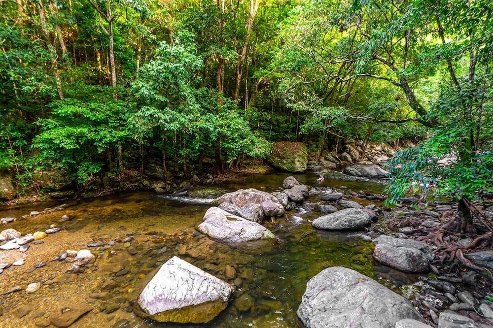 Photo of Outdoor in Kamerunga