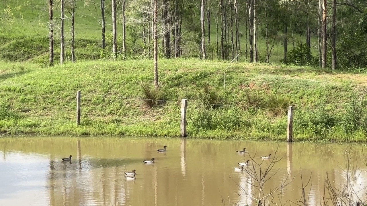 Photo of Outdoor in Moorang