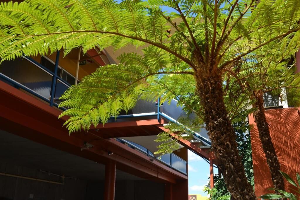 Photo of Outdoor in Bundaberg