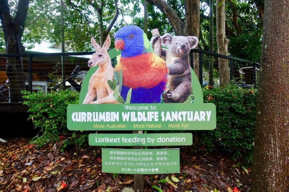 Photo of Others in Coomera