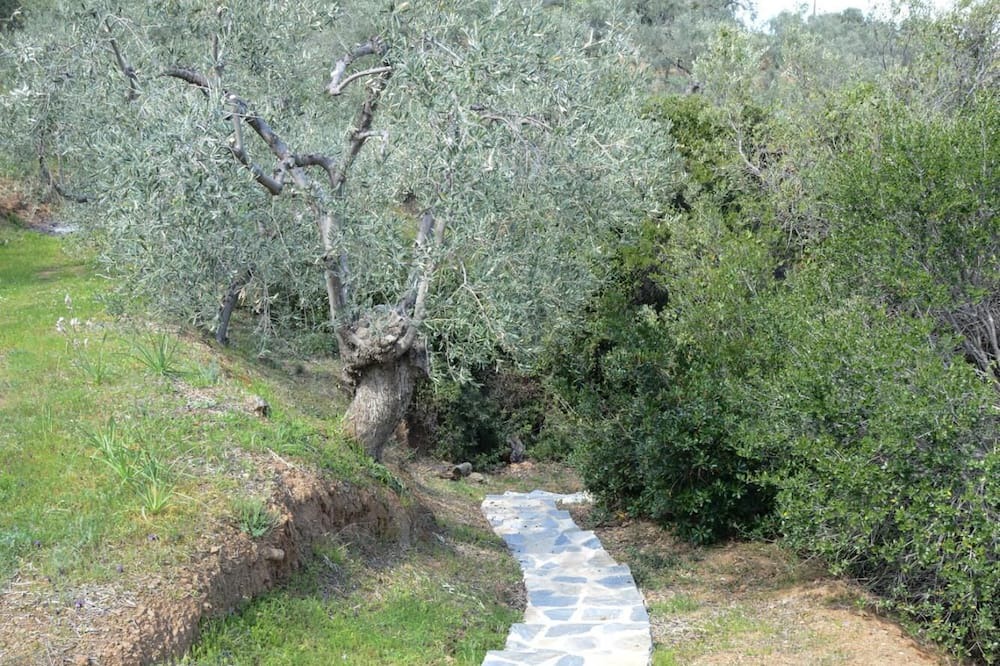 Photo of Outdoor in Sourpi