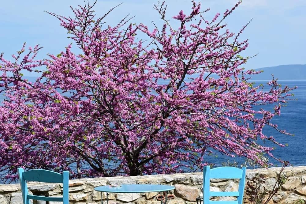 Photo of Outdoor in Sourpi