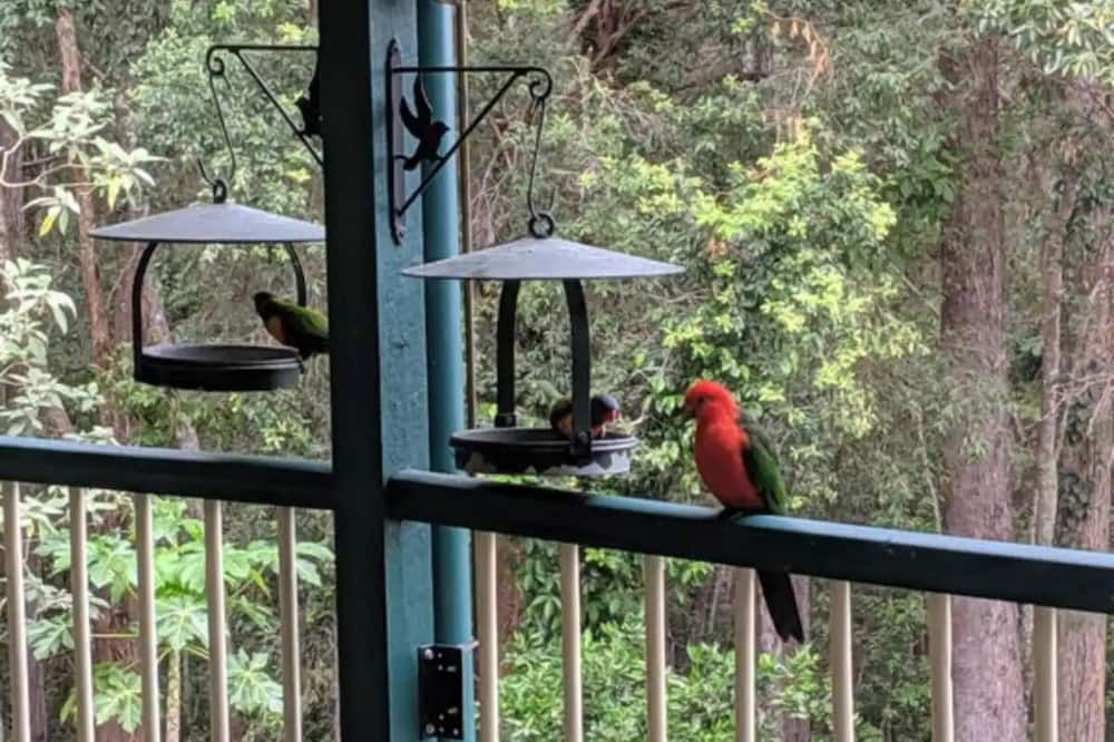 Photo of Outdoor in Parklands
