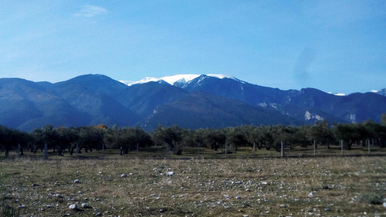 Photo of Outdoor in Leptokaria