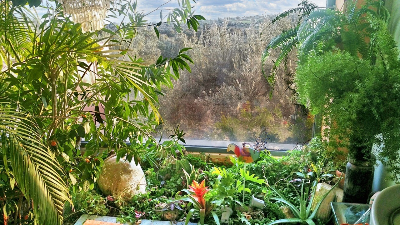 Photo of Outdoor in Dirfys-Messapia