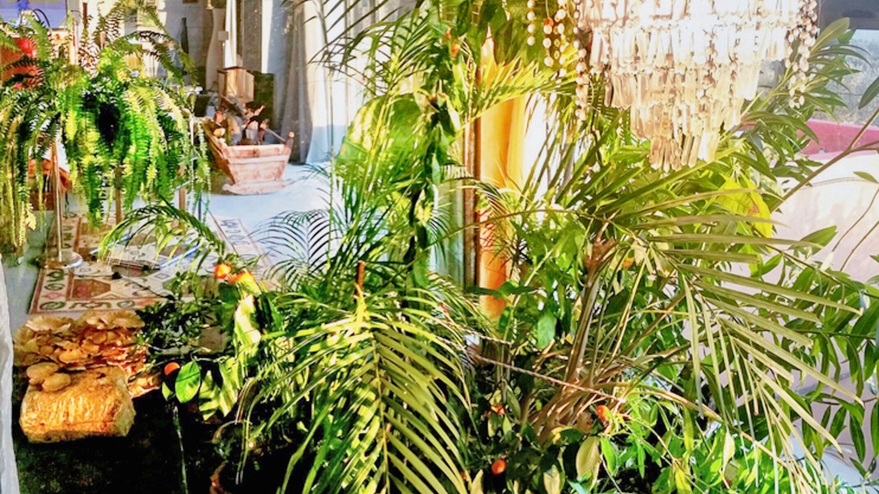Photo of Outdoor in Dirfys-Messapia