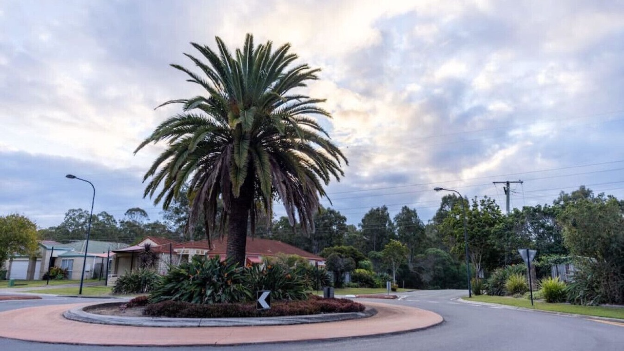 Photo of Outdoor in Meadowbrook