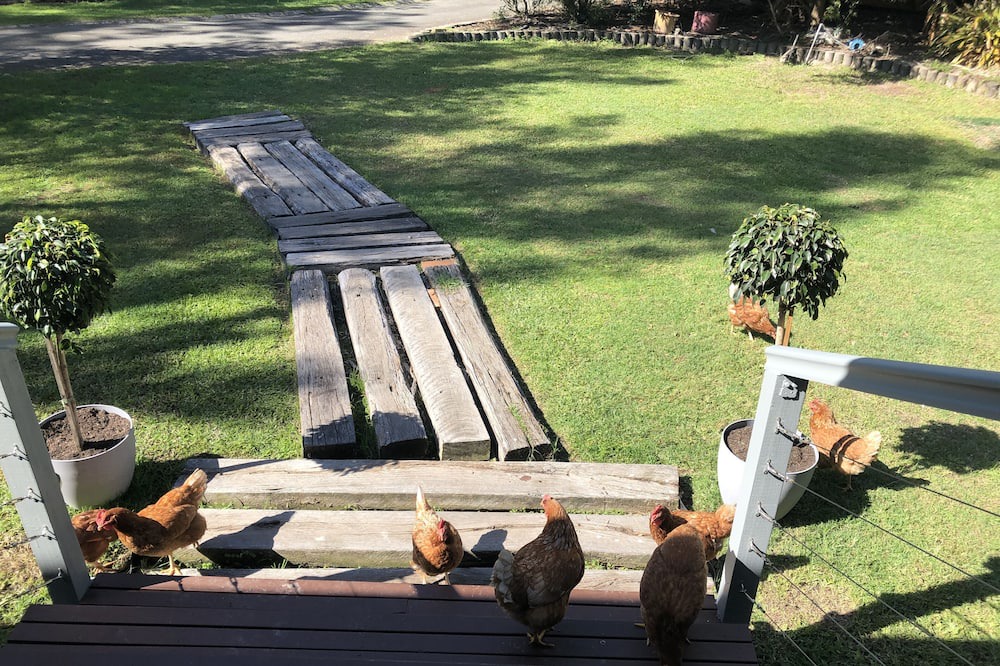 Photo of Outdoor in Thornlands