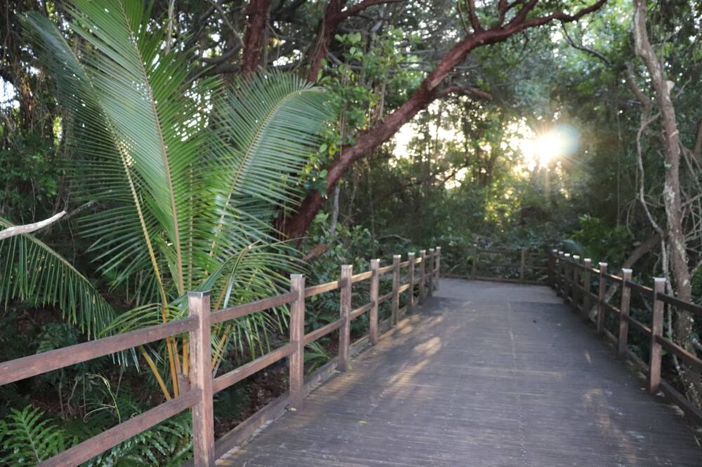 Photo of Outdoor in Craiglie