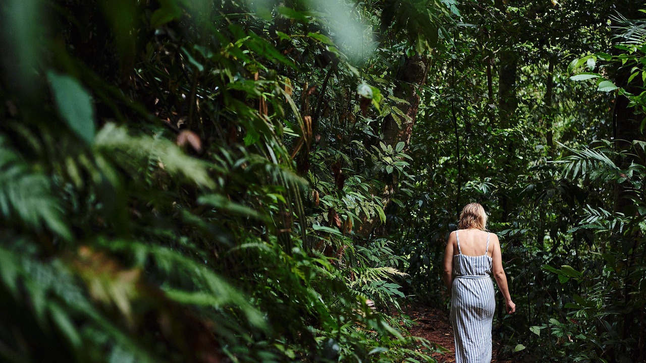 Photo of Outdoor in Lower Daintree