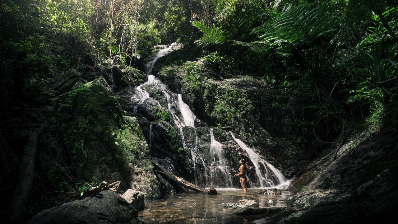 Photo of Outdoor in Lower Daintree