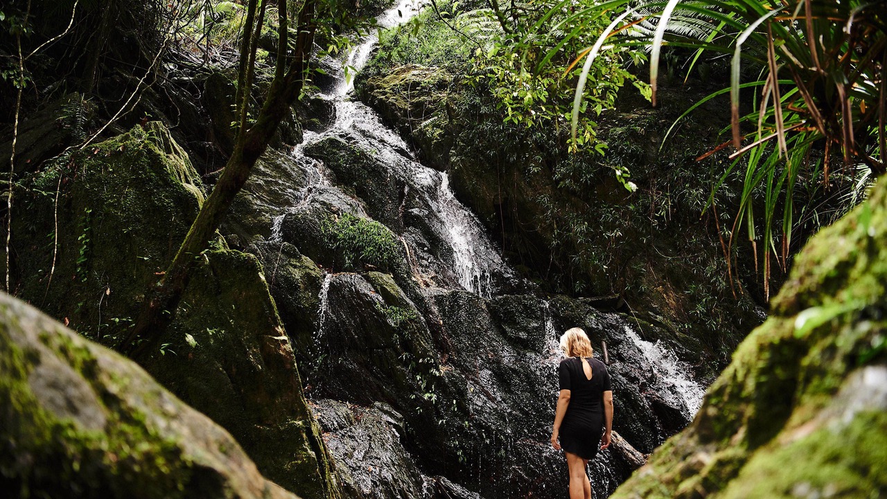 Photo of Outdoor in Lower Daintree