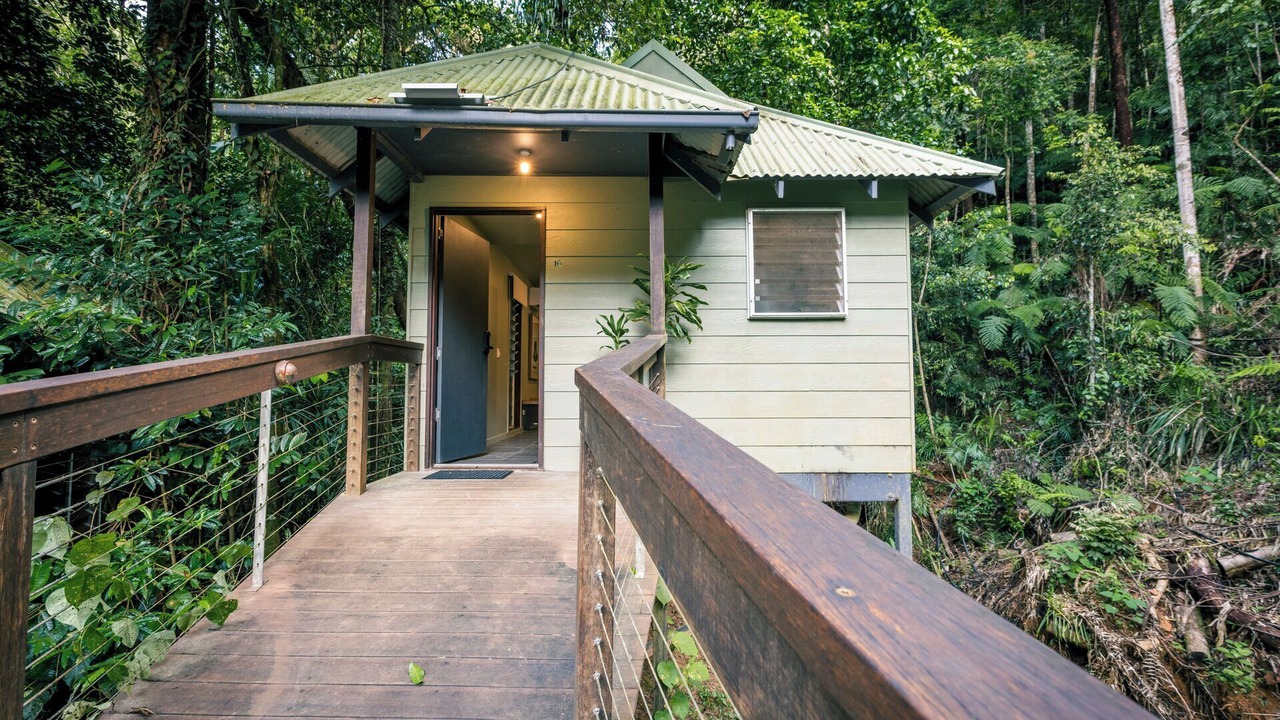 Photo of Outdoor in Lower Daintree