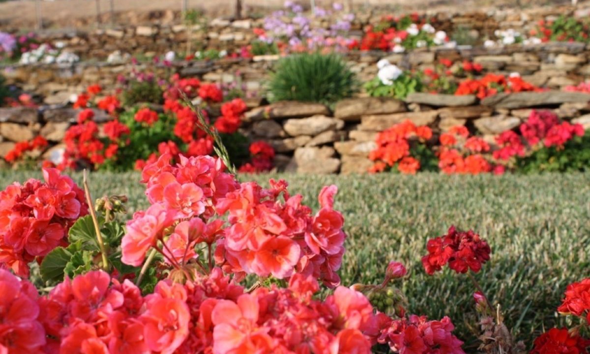 Photo of Outdoor in Agii Apostoli