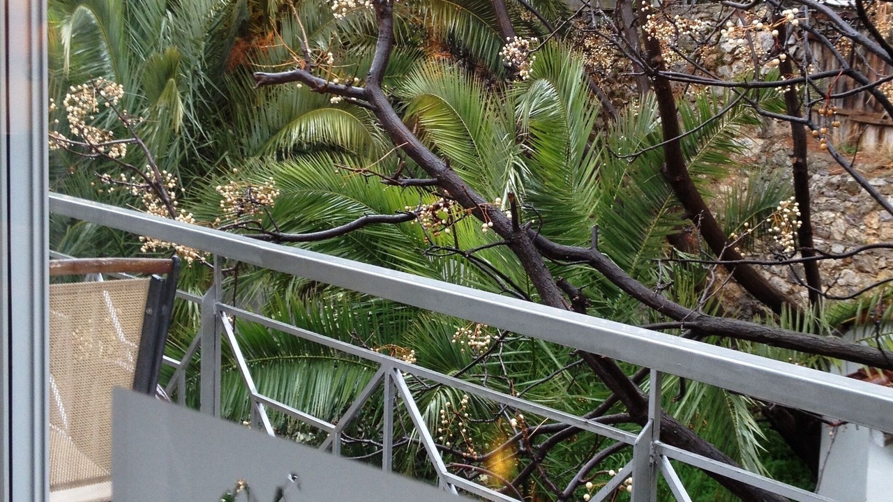 Photo of Outdoor in Delfoi