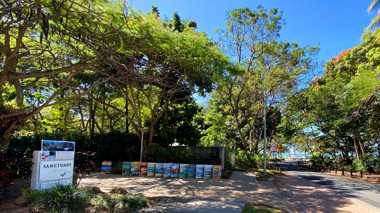 Photo of Others in Palm Cove