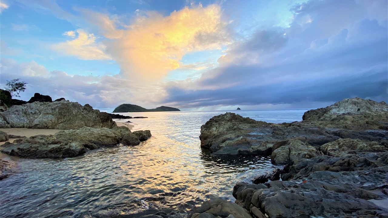 Photo of Others in Palm Cove