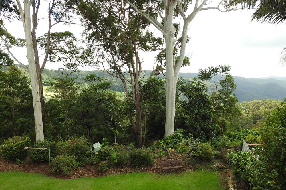 Photo of Outdoor in Mount Tamborine