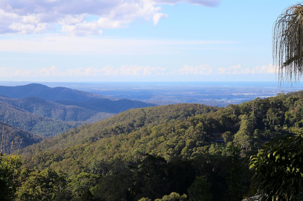 Photo of Others in Mount Tamborine