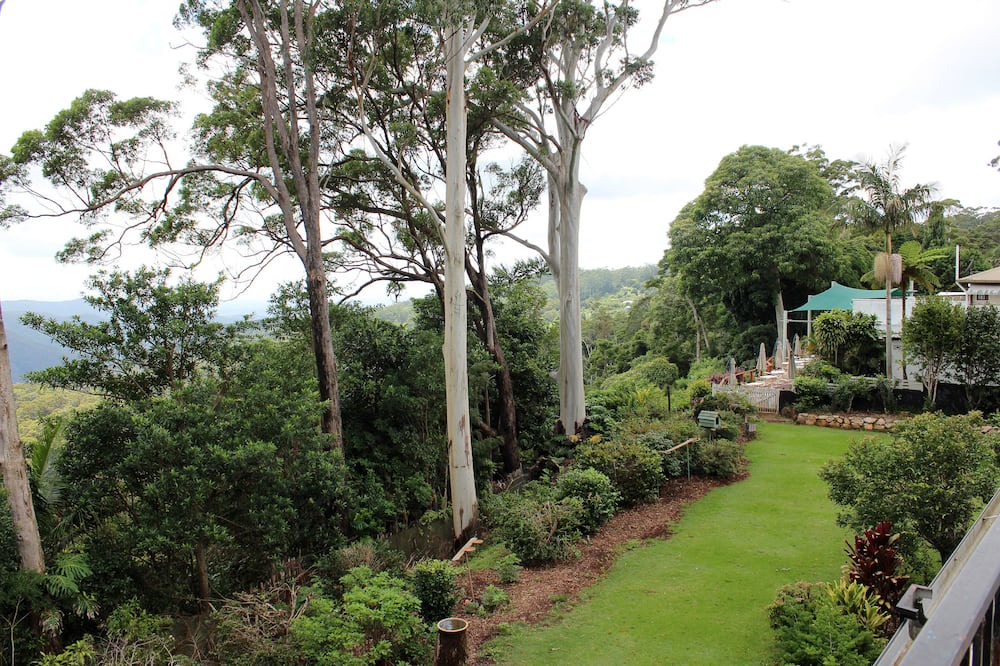 Photo of Outdoor in Mount Tamborine