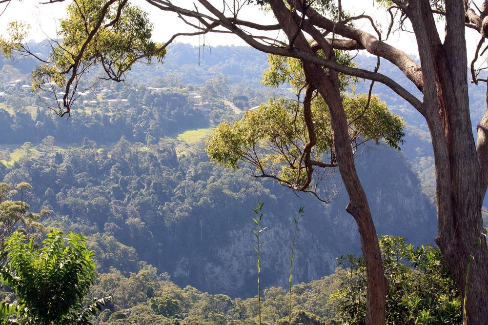 Photo of Others in Mount Tamborine
