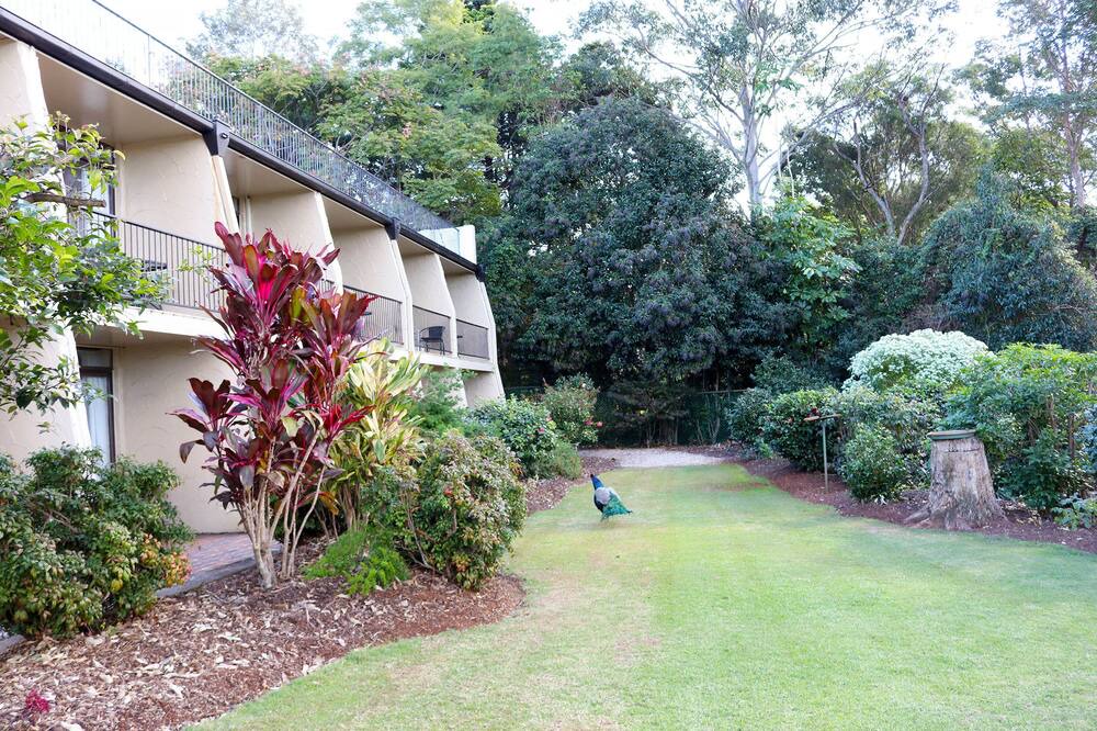 Photo of Outdoor in Mount Tamborine