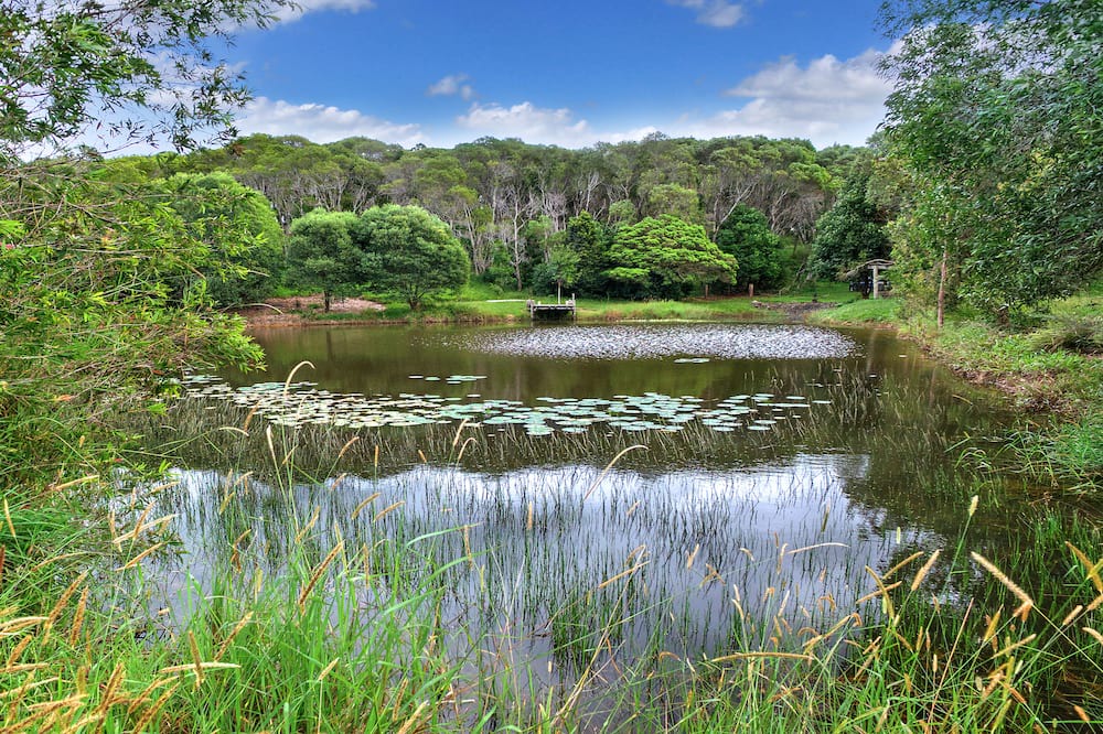 Photo of Outdoor in Pinbarren