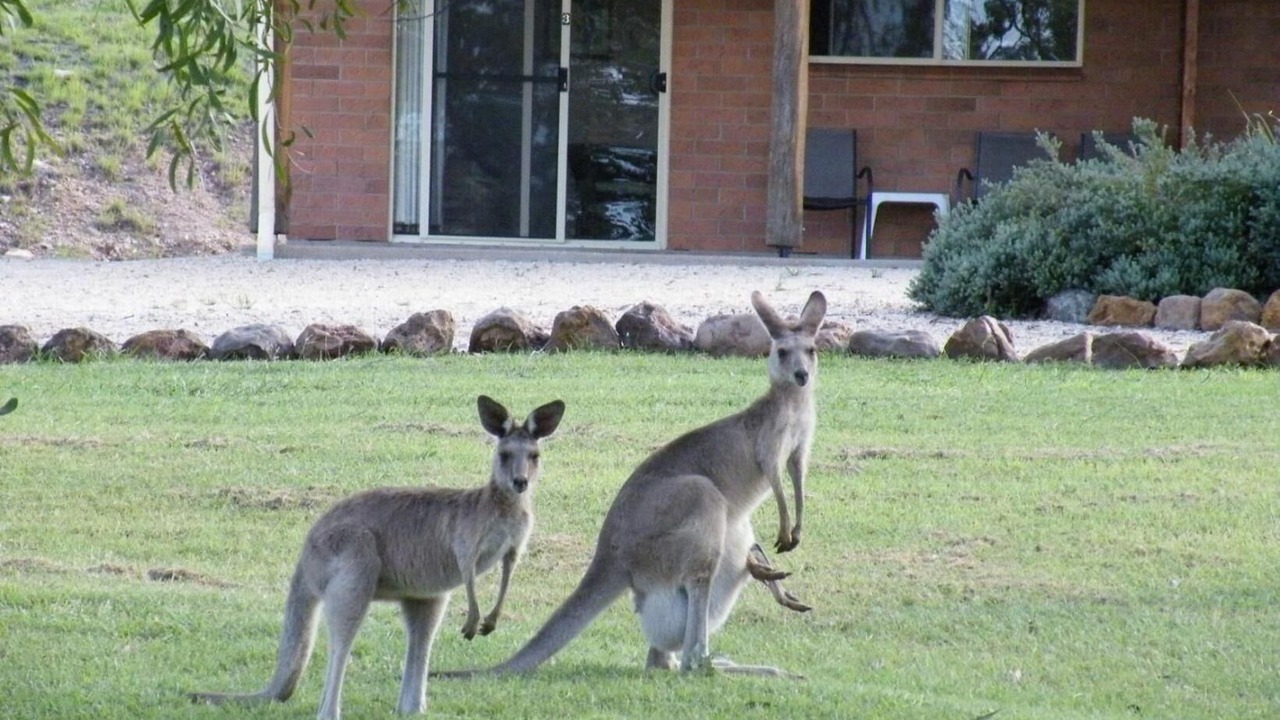 Photo of Outdoor in Rubyvale