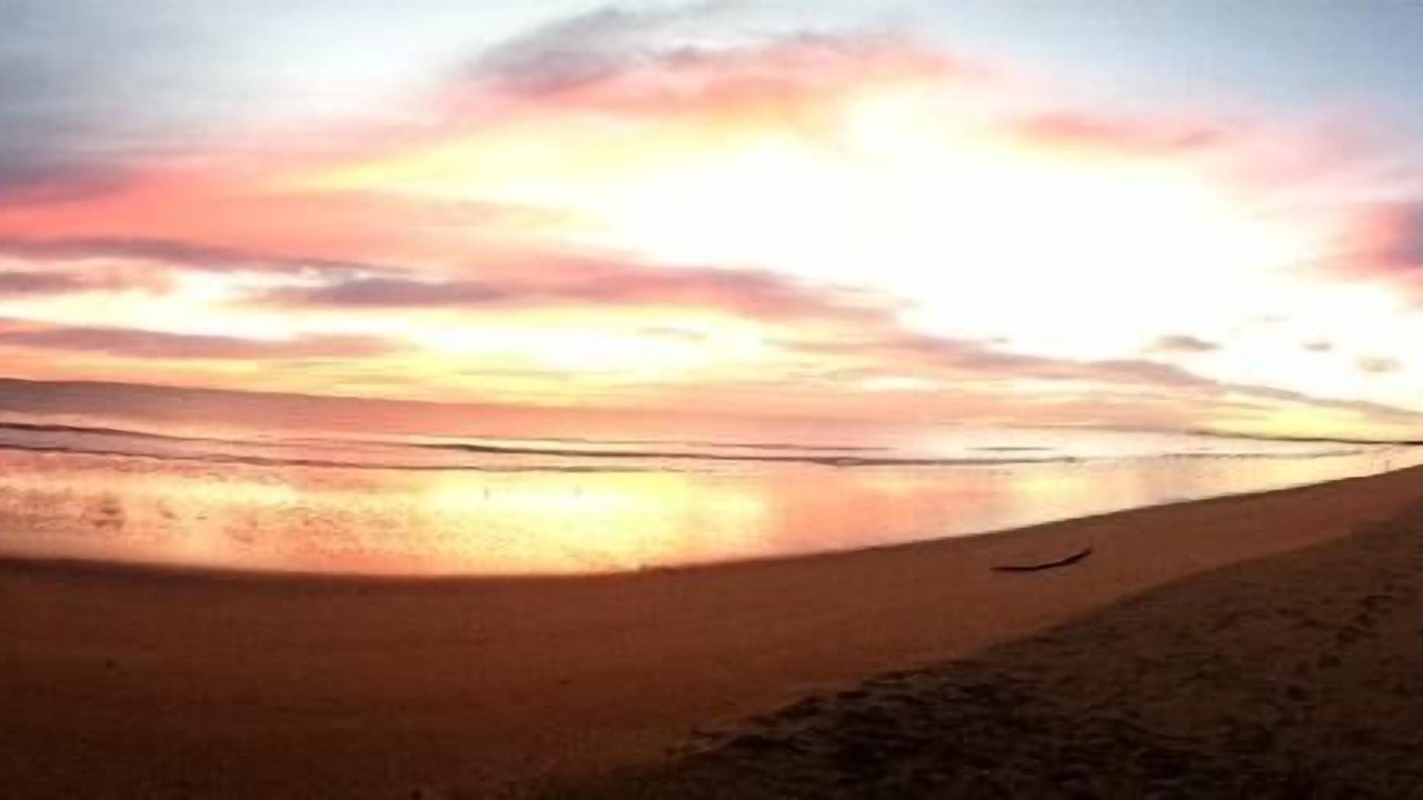 Photo of Others in Moore Park Beach