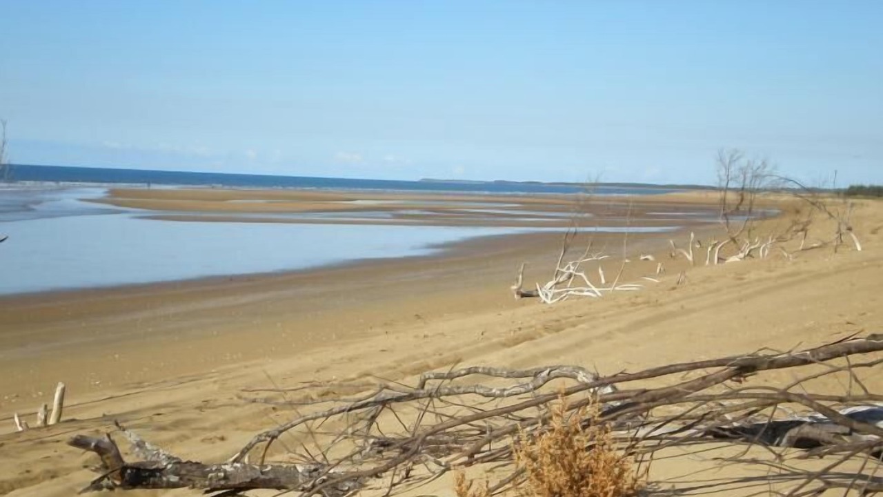 Photo of Others in Moore Park Beach