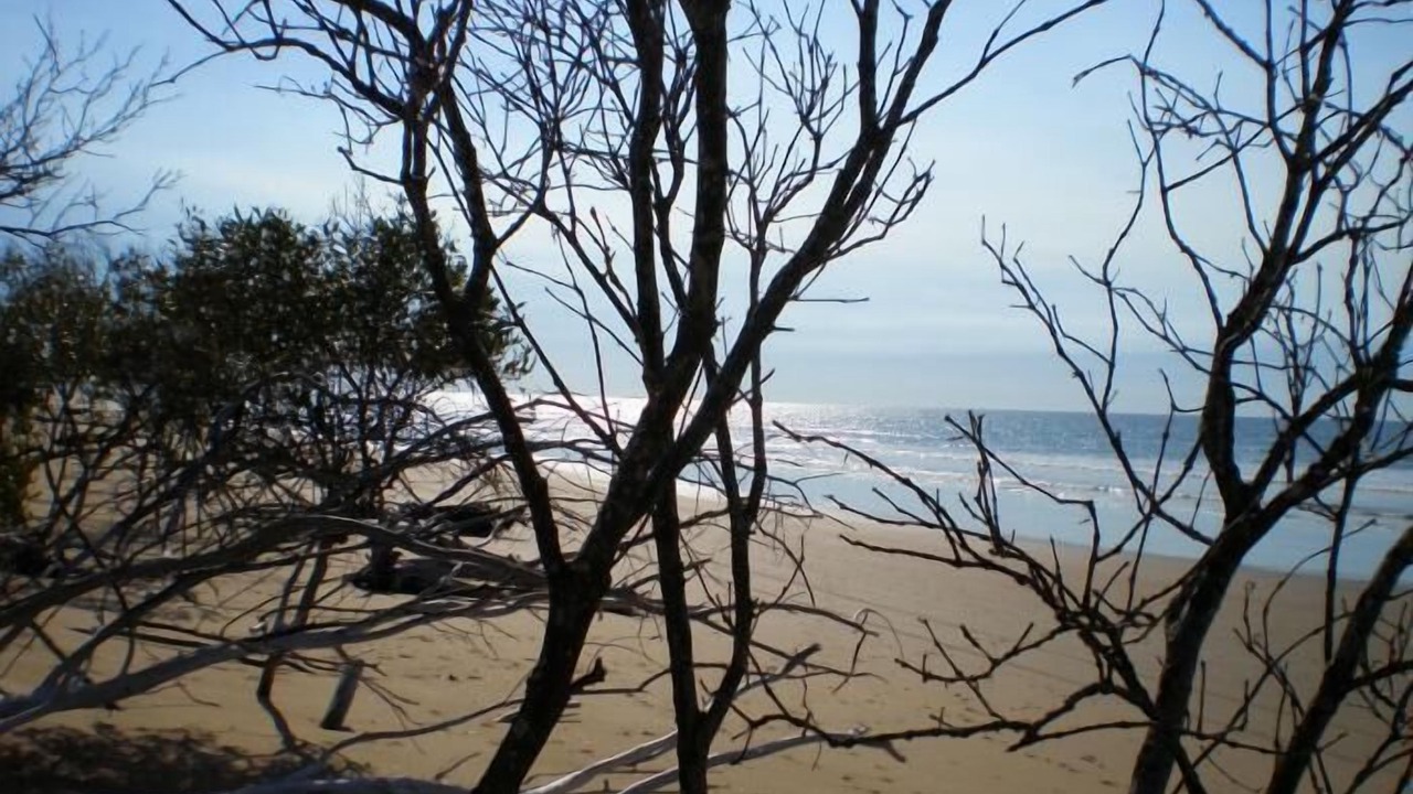Photo of Others in Moore Park Beach