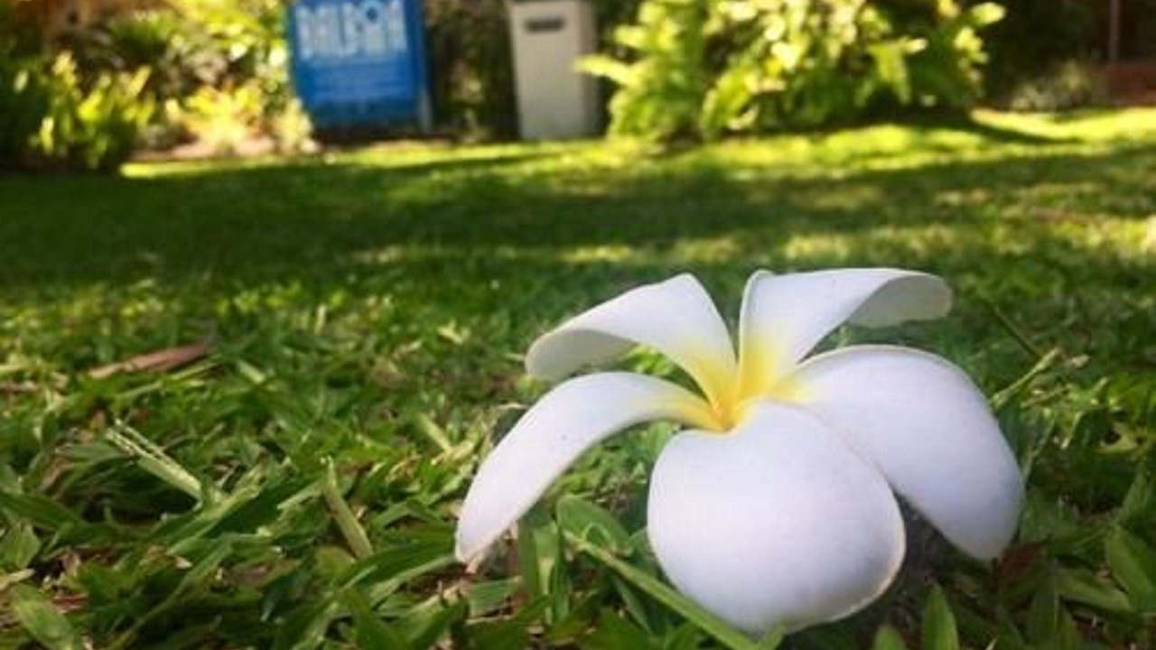 Photo of Outdoor in Port Douglas