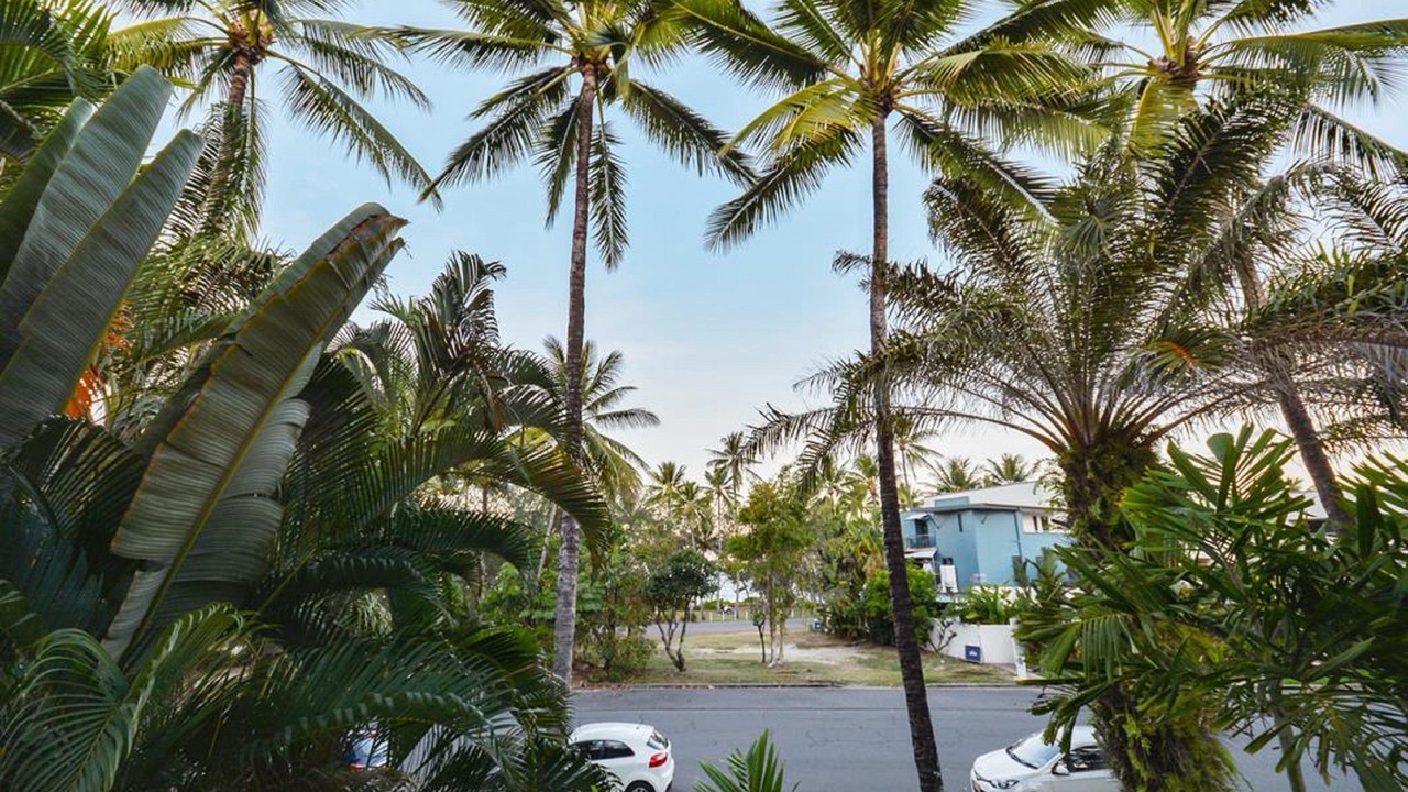 Photo of Others in Port Douglas